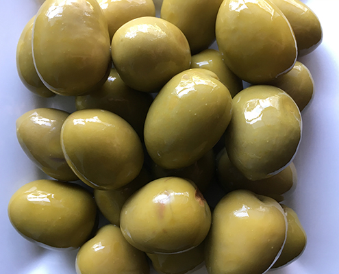 Gordal-Olive-1